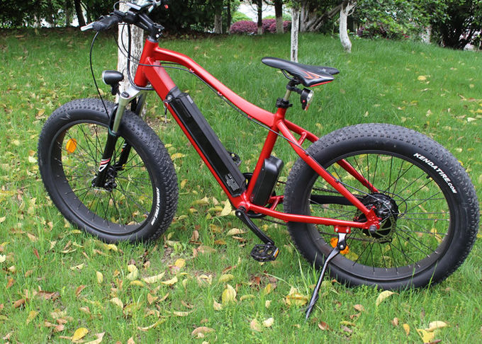 350w/36V Elektrikli Bisiklet Ebike Dağ Bisikleti Fat Bike Kar Bisikleti Arka merkez motoru 0
